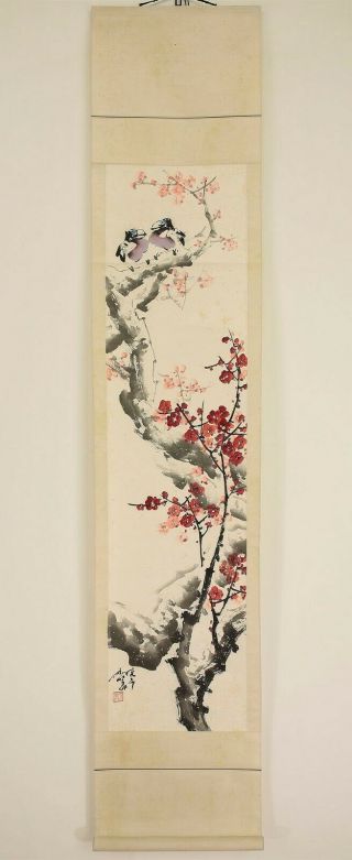 掛軸1967 Chinese Hanging Scroll " Ume Tree And Two Birds " @n221
