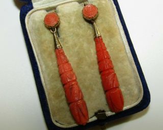 Exquisite,  Antique Georgian Regency 9 Ct Gold Torpedo Carved Coral Earrings