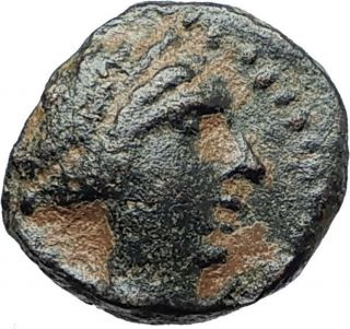 Seleukos Iii Keraunos 225bc Seleukid Ancient Greek Coin Artemis & Apollo I75440