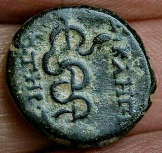 SERPENT,  ASKLEPIOS,  Mysia Pergamon,  after 133 B.  C,  4.  6g,  16mm Ancient Greek Coin 5