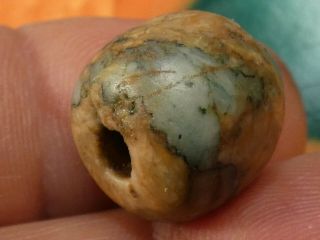 Ancient Pre - Columbian - Mesoamer.  Mayan Jade Belize Bead 15.  2 By 13.  8 Mm Heirloom