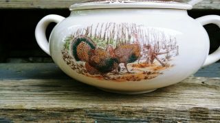 White Soup Tureen w/ Old English Transferware Color Tinted Turkey & Fruit 2