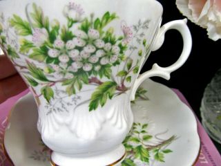 Royal Albert Tea Cup And Saucer Friendship Hawthorn Teacup Lyric Shape Shell