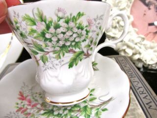 ROYAL ALBERT tea cup and saucer Friendship Hawthorn teacup lyric shape shell 3