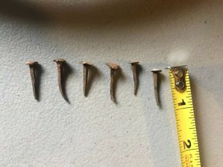 Antique Blacksmith Hand Forged Nails 18th Century