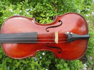 4/4 Antique Violin Mathias Josef Knilling Master Instrument Circa 1810 - 1830