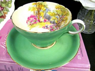Shelley Tea Cup And Saucer Green & Meadows & Trees Pattern Teacup England