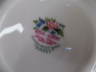 ROYAL ALBERT tea cup and saucer RANDOM Harvest series teacup Surrey floral 4