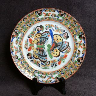 Chinese Famille Rose Butterflies Plate Superbly Hand Painted