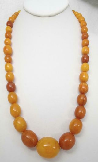 Antique Natural Butterscotch Egg Yolk Amber Bead 24” Necklace 53.  7g