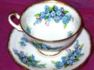 Vintage Royal Standard FORGET - ME - NOT Bone China Footed Tea Cup and Saucer 3