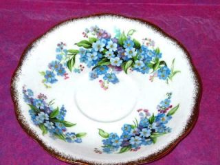 Vintage Royal Standard FORGET - ME - NOT Bone China Footed Tea Cup and Saucer 5