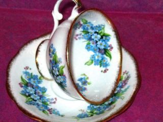 Vintage Royal Standard FORGET - ME - NOT Bone China Footed Tea Cup and Saucer 6