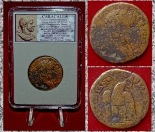 Ancient Roman Empire Coin Caracalla Eagle On Reverse Moesia