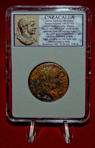 Ancient Roman Empire Coin CARACALLA Eagle On Reverse Moesia 2