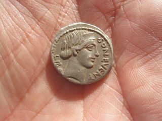 Ancient Republic Roman Silver Denar,  Denarius,  Roma N1