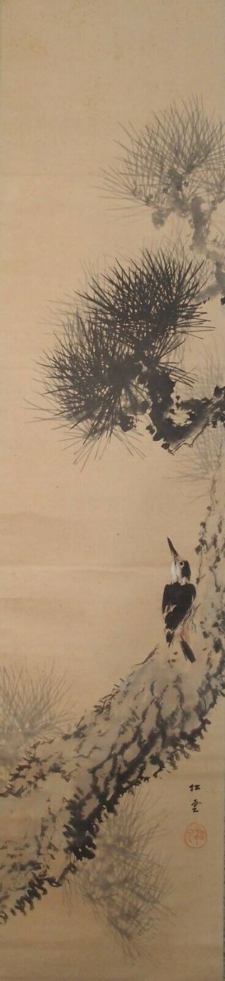 1575 Japanese Hanging Scroll: Bird On Pine Tree