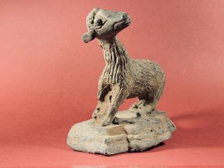 Scarce Ancient Roman Near Eastern Bronze Sheep Statuette,  Circa 200 - 400ad