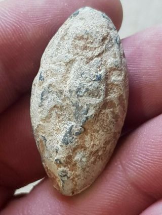 Fantastic Extremely Rare Ancient Lead Sling Shot Bullet/scorpion,  40,  3 Gr.  39 Mm