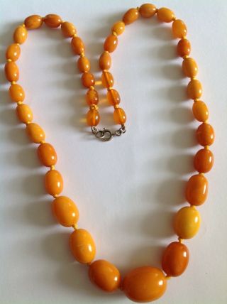 Antique Graduated Butterscotch Amber Bead Necklace - 28 Grammes