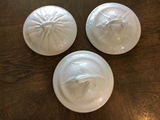 Antique White Ironstone Potty Lids