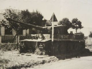 Captured German Tiger I Photo,  Ww2 Photo
