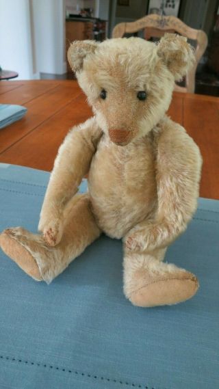 Antique Steiff Teddy Bear