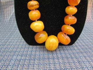 Large Antique Natural Baltic Amber Bead Necklace Estate Fresh 179 Grams 3