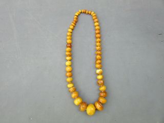 Large Antique Natural Baltic Amber Bead Necklace Estate Fresh 179 Grams 4