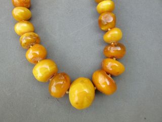 Large Antique Natural Baltic Amber Bead Necklace Estate Fresh 179 Grams 5