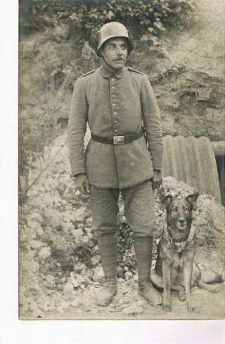 Wwi Photo No.  266 Steel Helmet German Shepherd Dog