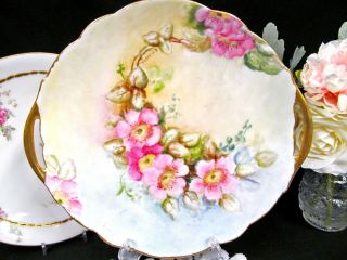 Limoges France Floral Double Handle Cake Plate Painted Blossom Artist Signed