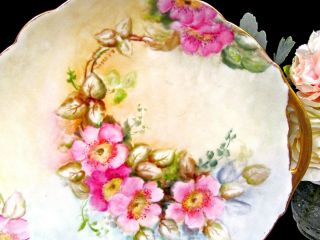 Limoges France floral double handle cake plate painted blossom artist signed 2