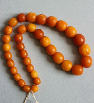 24gr Natural Antique Amber Necklace Egg Yolk Butterscotch Beads
