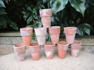 10 Old Vintage Terracotta Plant Pots 2.  25 " Seedling Pots (300g)