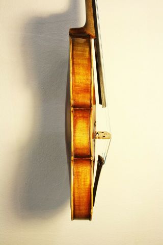 Fine Antique violin Italian style 4/4 Antonius Pandolfi 1740 geige 小提琴 ヴァイオリン 5