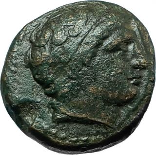 Philip Ii 359bc Olympic Games Horse Race Win Macedonia Ancient Greek Coin I66026