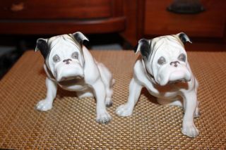 Antique Grafenthal Germany Porcelain Bulldog Figures Pair Bulldogs