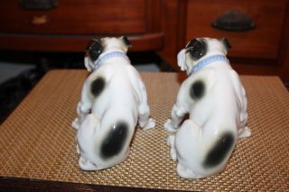 Antique Grafenthal Germany Porcelain Bulldog Figures PAIR Bulldogs 3