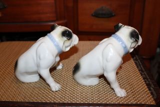 Antique Grafenthal Germany Porcelain Bulldog Figures PAIR Bulldogs 4