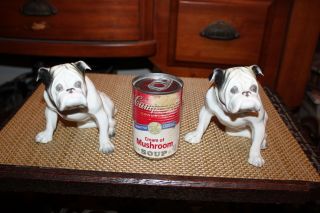 Antique Grafenthal Germany Porcelain Bulldog Figures PAIR Bulldogs 5