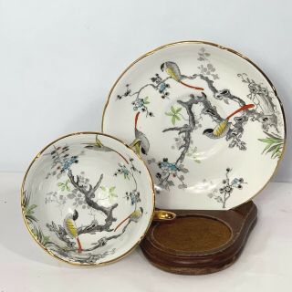 Vintage Royal Grafton Oriental Birds On Branches Tea Cup Saucer Set England