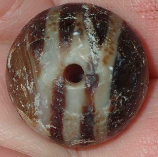 19mm Ancient Indo - Tibetan Sulemani Chung Dzi Agate Lined Bead,  S1155
