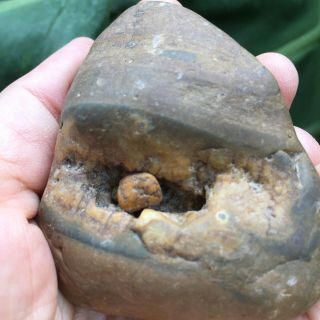 Suiseki Stone Bonsai Thai Mekong River Khong Naga Gems Amulet Stones In Stone 7