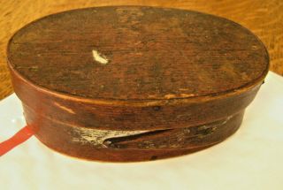 Antique Sm Shaker Oak Oval Lidded Trinket Box W Square Nails,  4 3/8 " X 1.  5 "