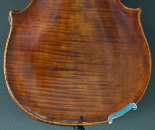 antique 4/4 VIOLIN with label J.  DALL ' AGLIO 1816 geige violon 小提琴 ヴァイオリン cello 7
