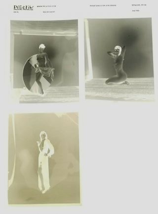3 BETTIE PAGE EARLY UNPUBLISHED ICONIC CAMERA NEGATIVE Bunny Yeager / Forrest 2