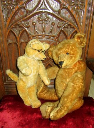 1903 Cinnamon Ideal Toy Co.  Teddy Bear,  rare five claws,  shoe button eyes 3