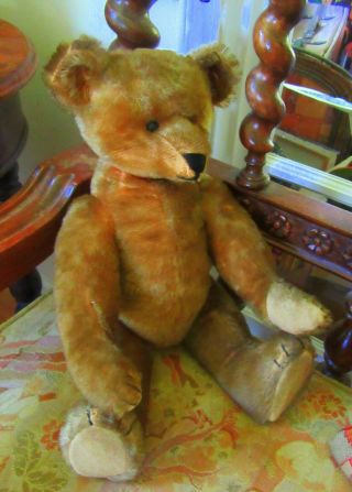 1903 Cinnamon Ideal Toy Co.  Teddy Bear,  rare five claws,  shoe button eyes 5