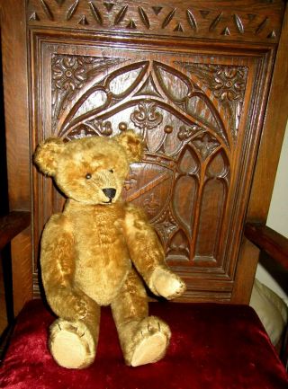 1903 Cinnamon Ideal Toy Co.  Teddy Bear,  rare five claws,  shoe button eyes 6